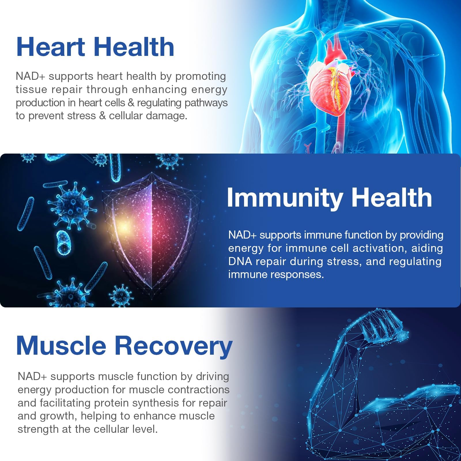 Cardiovascular support and cellular renewal with NAD+