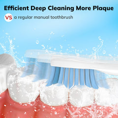 Close up of US DuPont soft bristles on a replacement toothbrush head