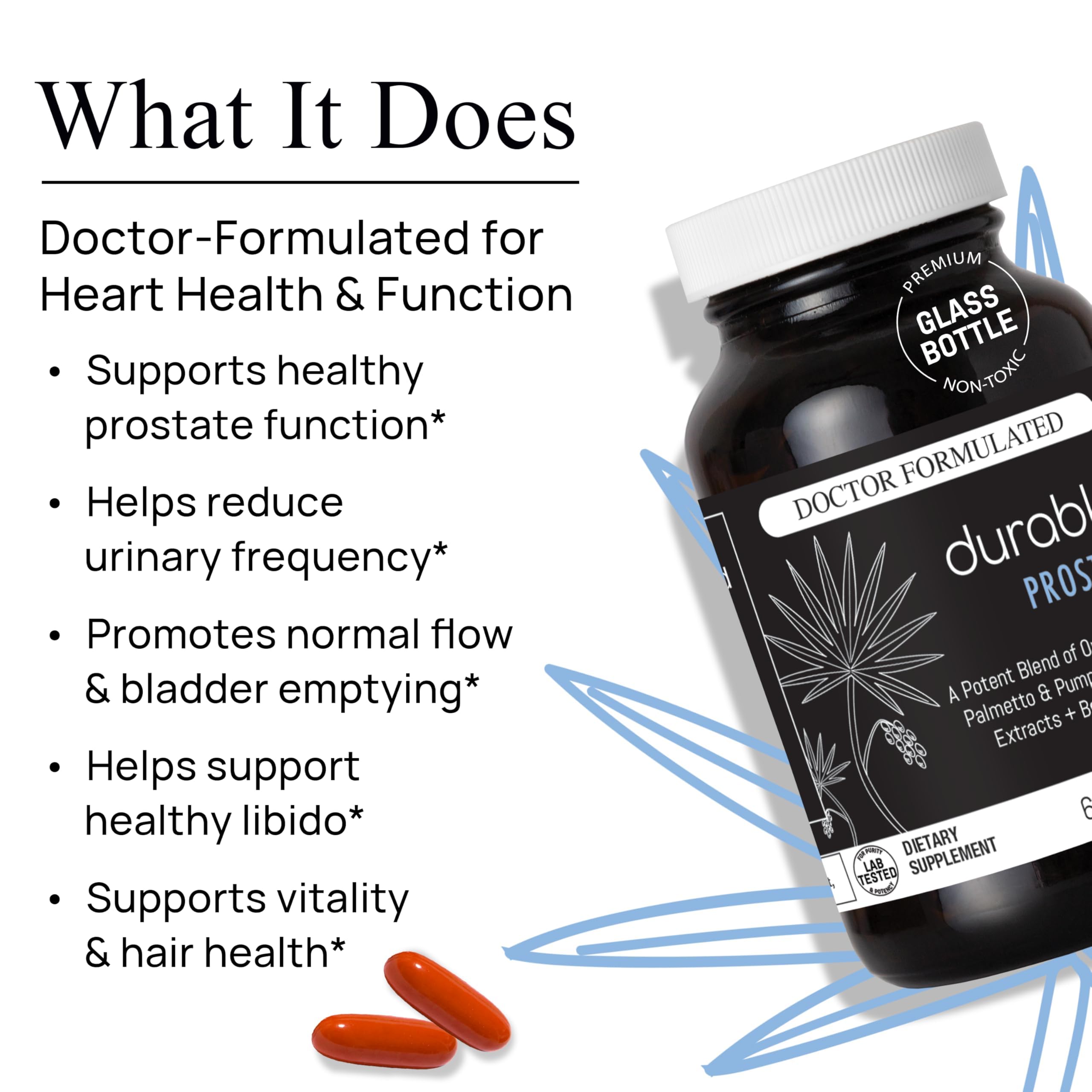USPlus Saw Palmetto extract illustration