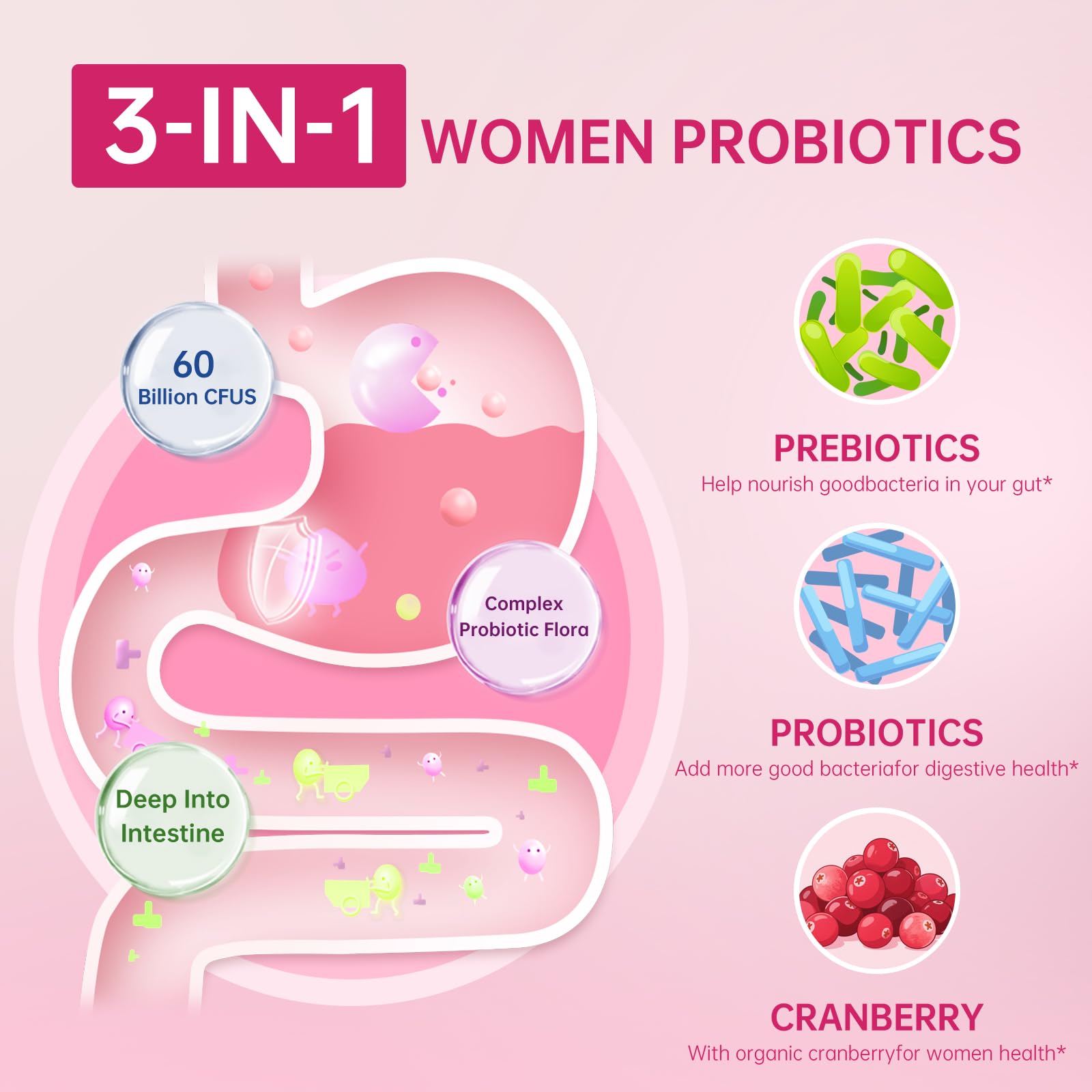Packaging highlighting prebiotics and Lactobacillus components