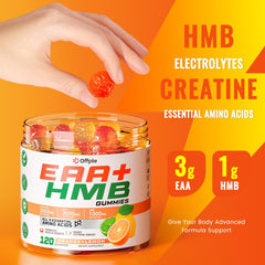 Gummies highlighting HMB and Creatine components