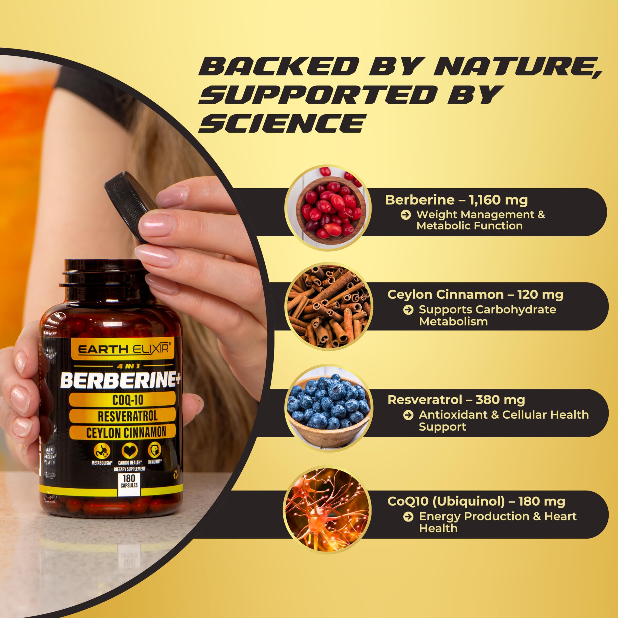 Ceylon cinnamon sticks alongside berberine supplement ingredients