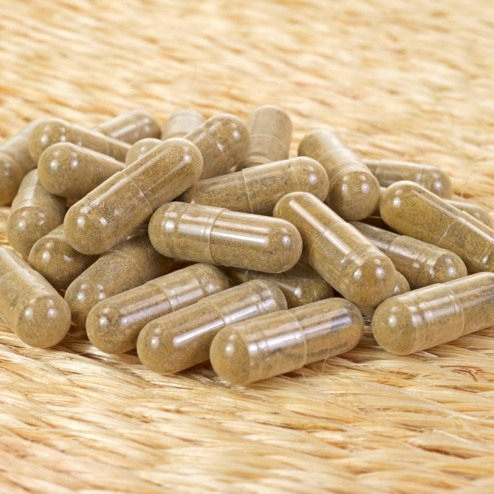 200-day supply packaging of Amla Extract capsules