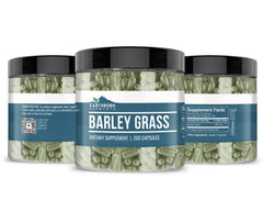 Close-up of barley grass capsules