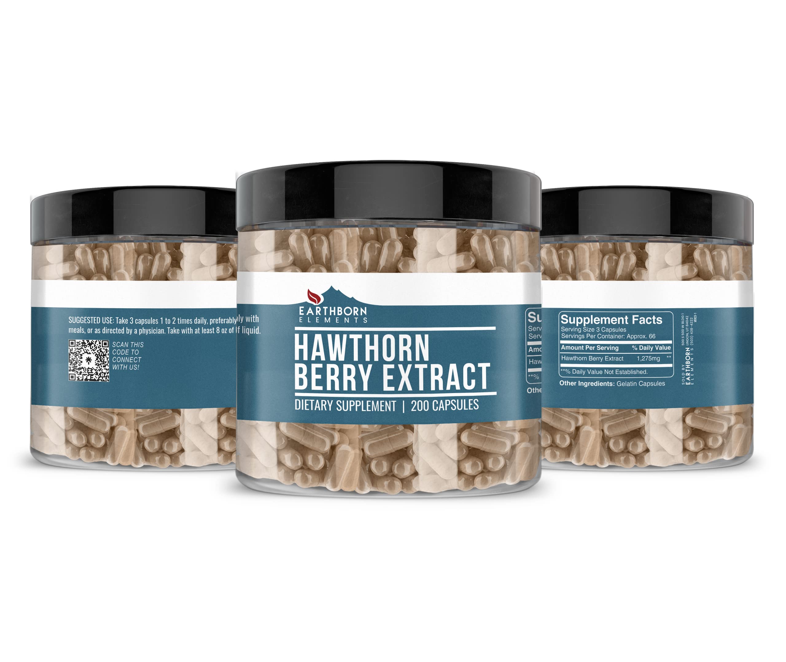 Close-up of hawthorn berries indicating natural source