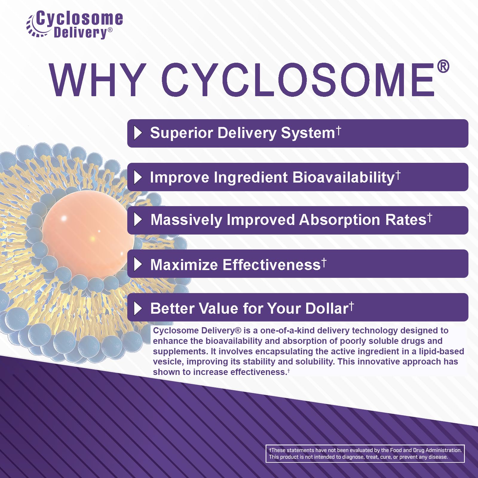 Concept image for immune support and seasonal wellness