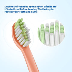 Easy snap-on design for quick toothbrush head replacement