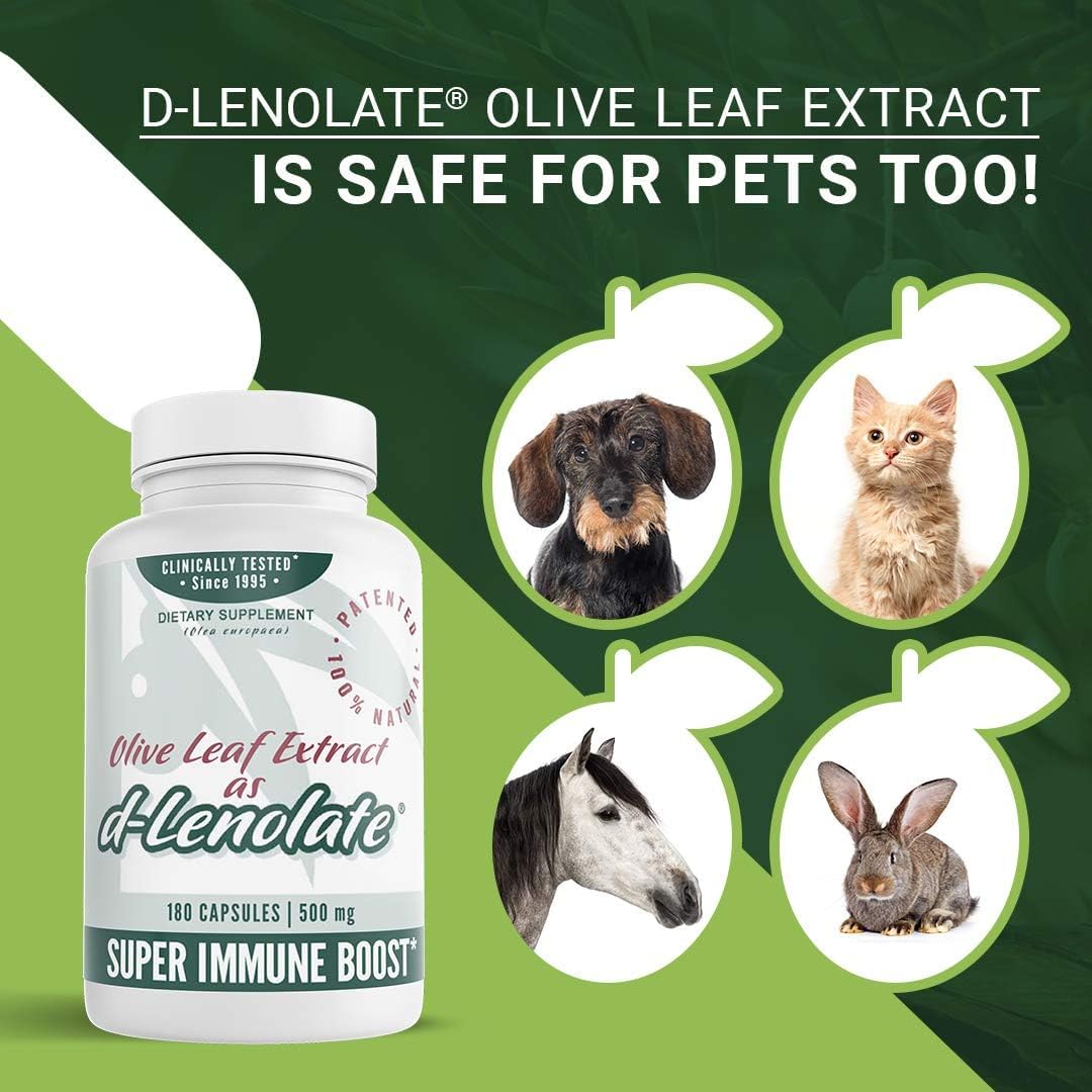 Close-up of olive leaf extract ingredients
