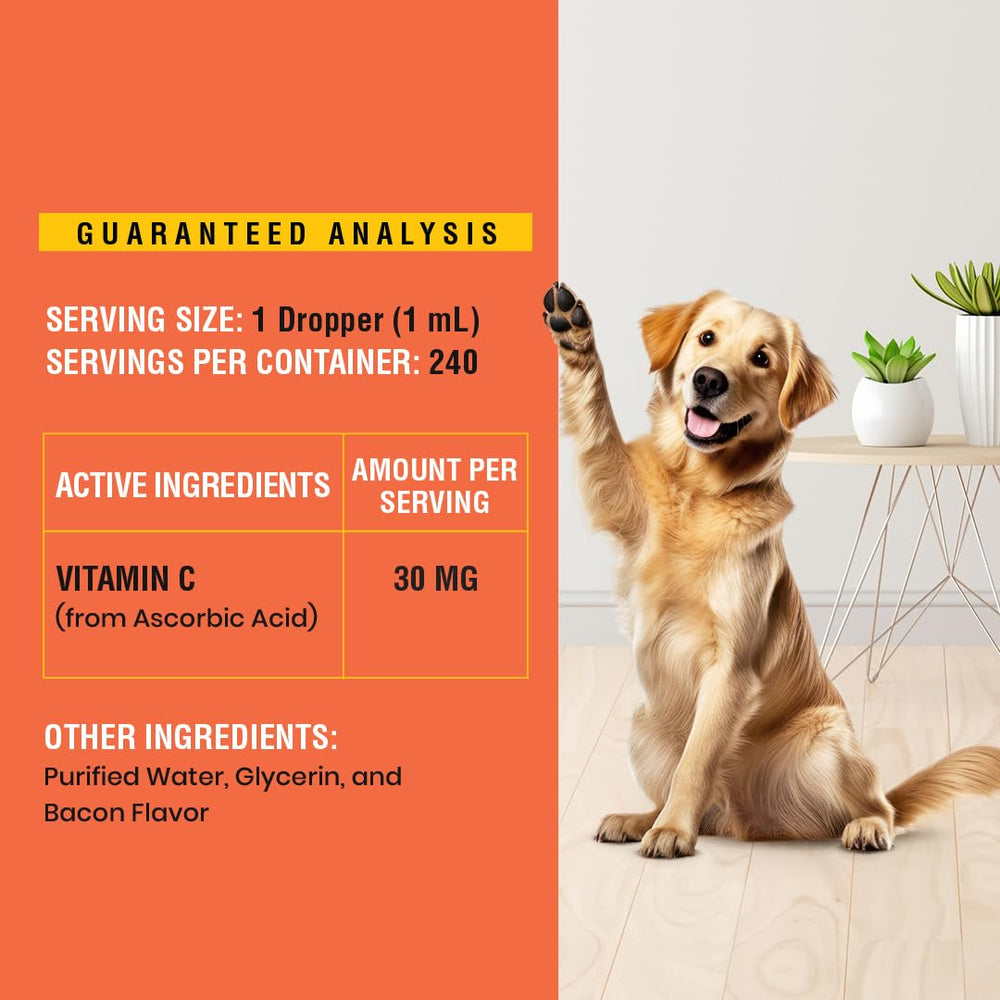 Easy-to-administer Vitamin C liquid for dogs with bacon flavor