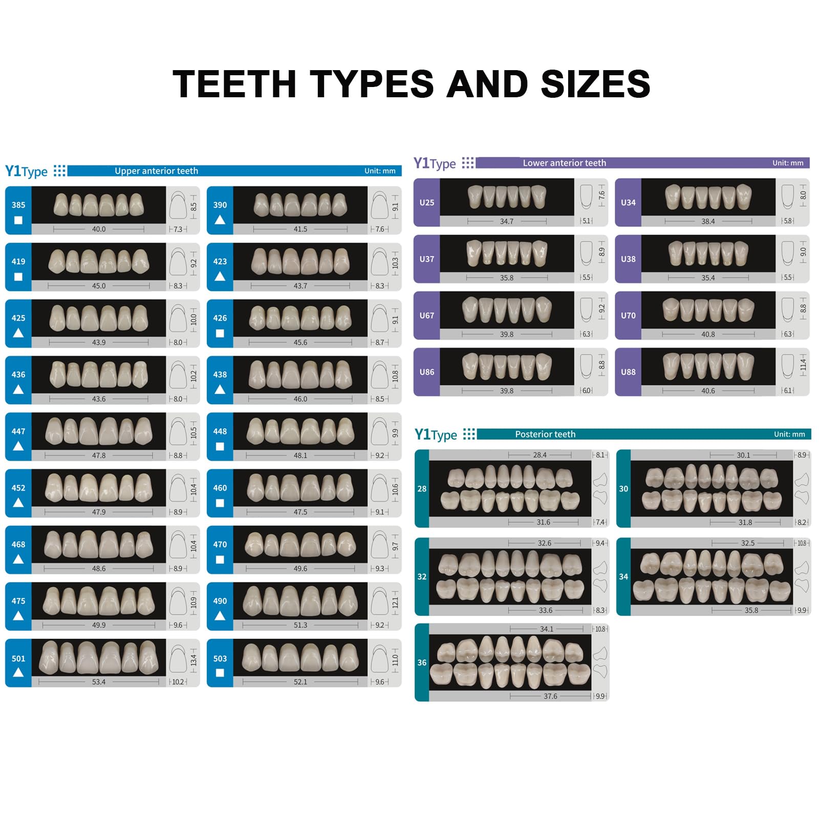 Color options A2 and A3 resin teeth for realistic appearance