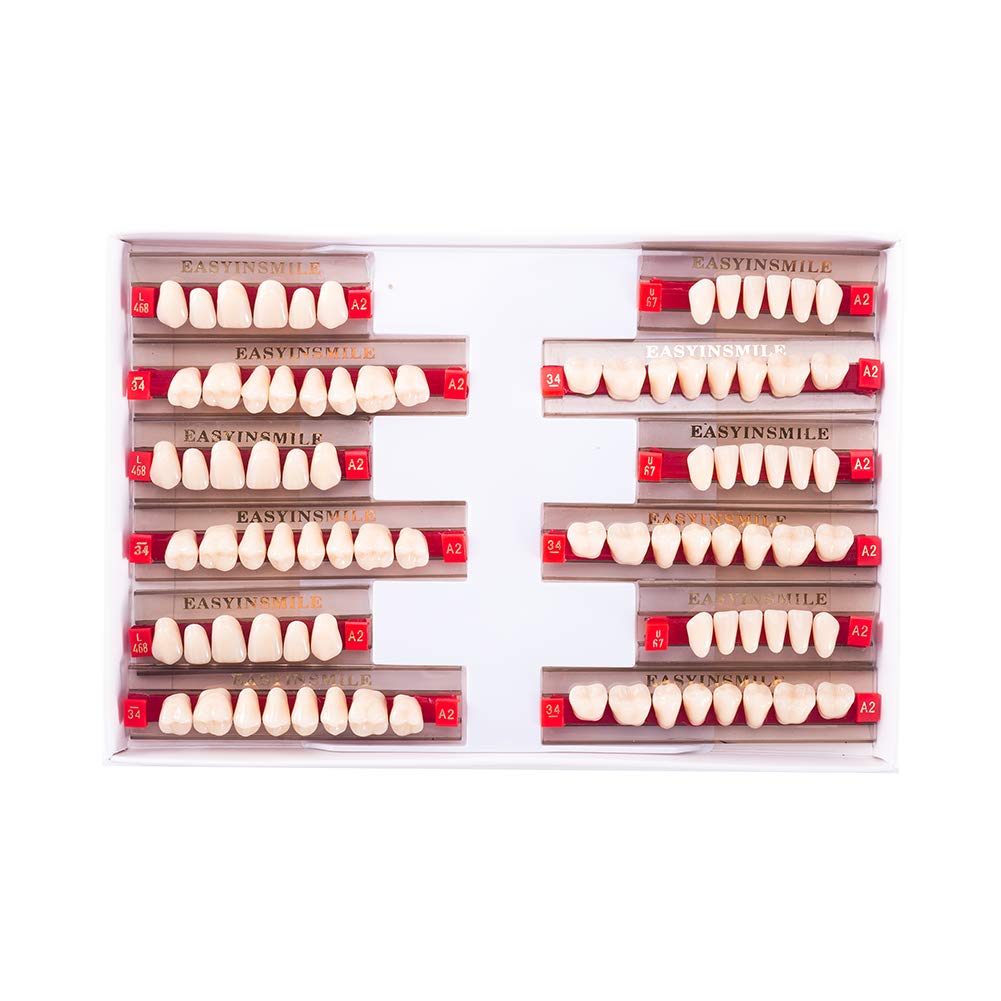 Easyinsmile resin teeth A2/A3 full upper and lower set for Halloween props