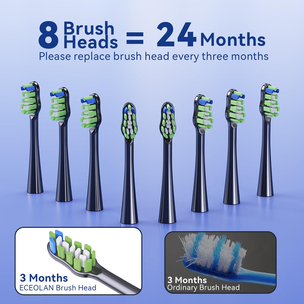 Eight brush heads for ECEOLAN toothbrush