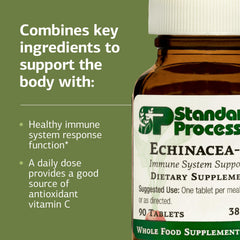 Vitamin C antioxidant support graphic for Echinacea-C