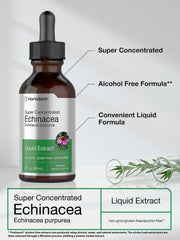 Super concentrated echinacea root extract