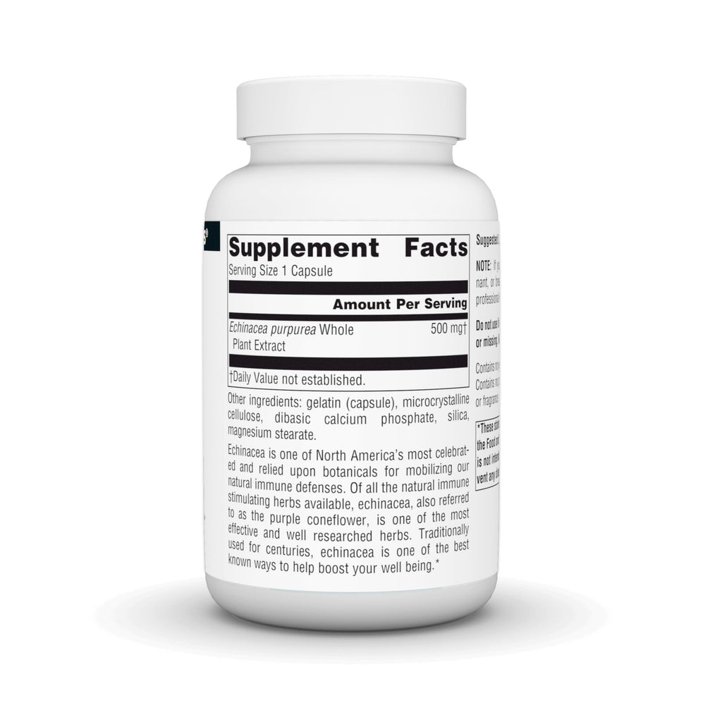 Close-up of echinacea root extract capsules 500mg