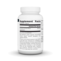 Close-up of echinacea root extract capsules 500mg