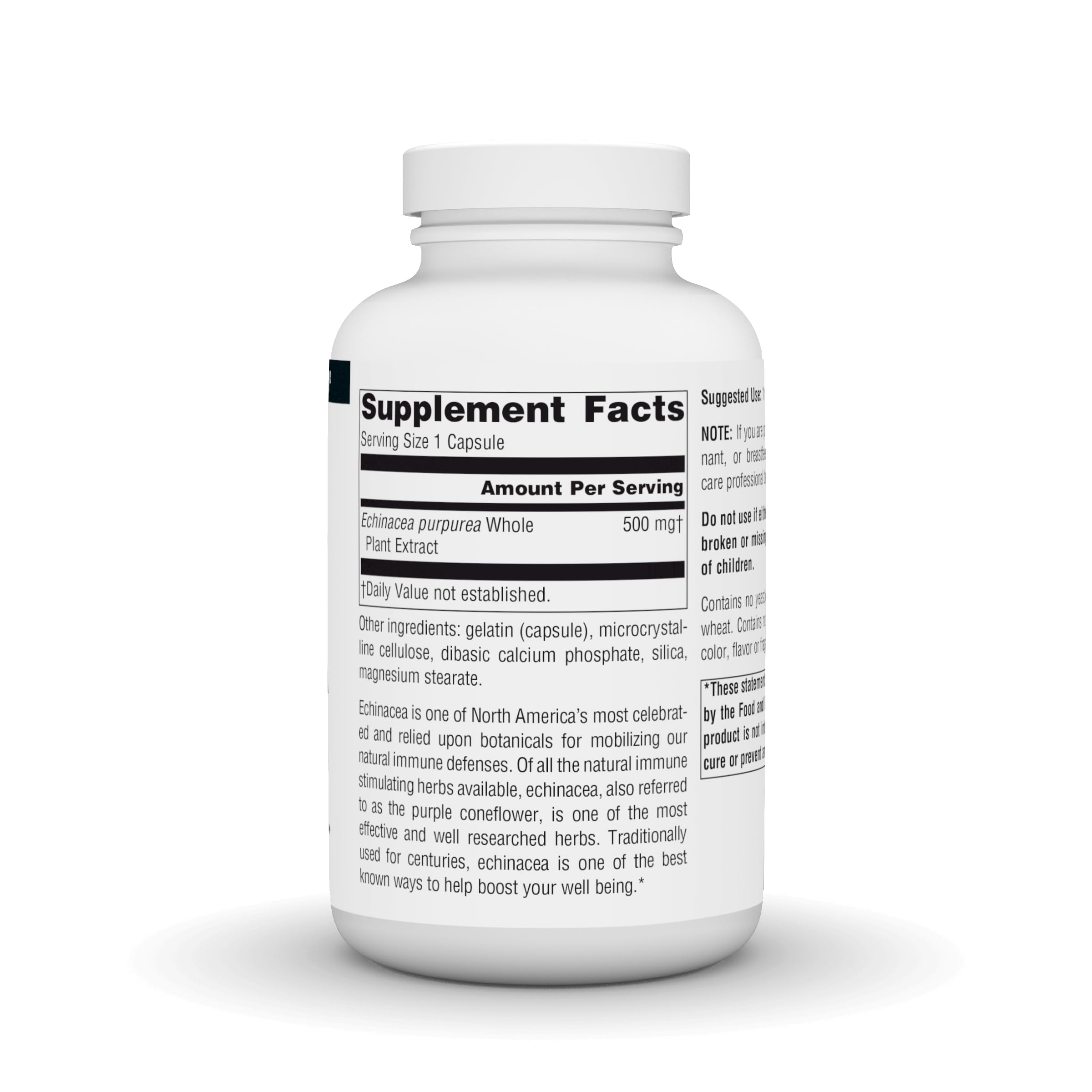 Close-up of Echinacea Root Extract label showing 500mg
