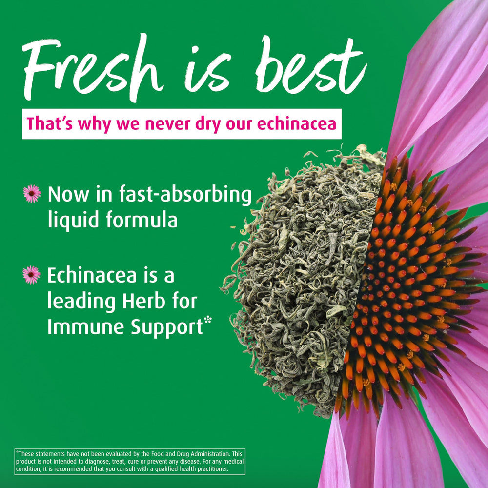 Dropper dispensing Echinaforce liquid into a glass