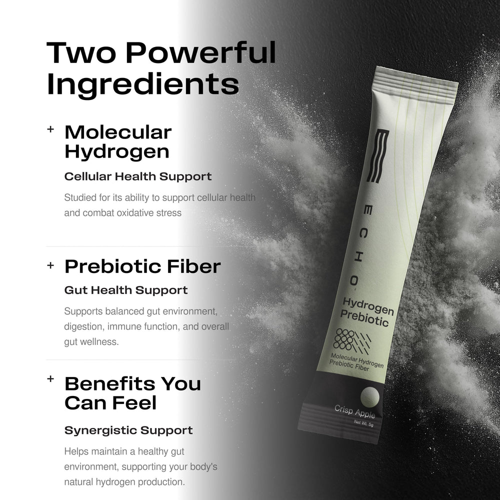 Graphic illustrating prebiotic fiber supporting digestive health