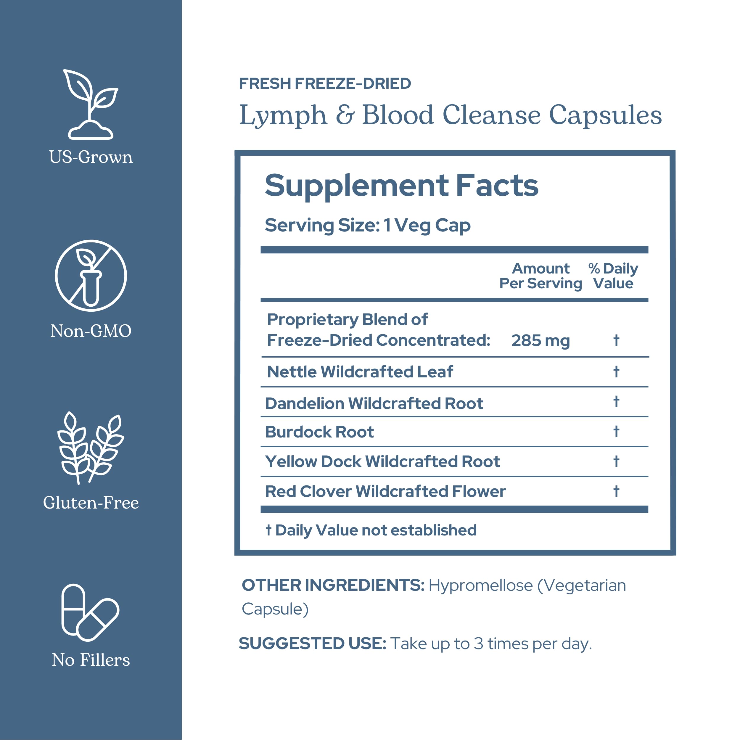 Close-up of product label for Lymphatic & Blood Cleanse