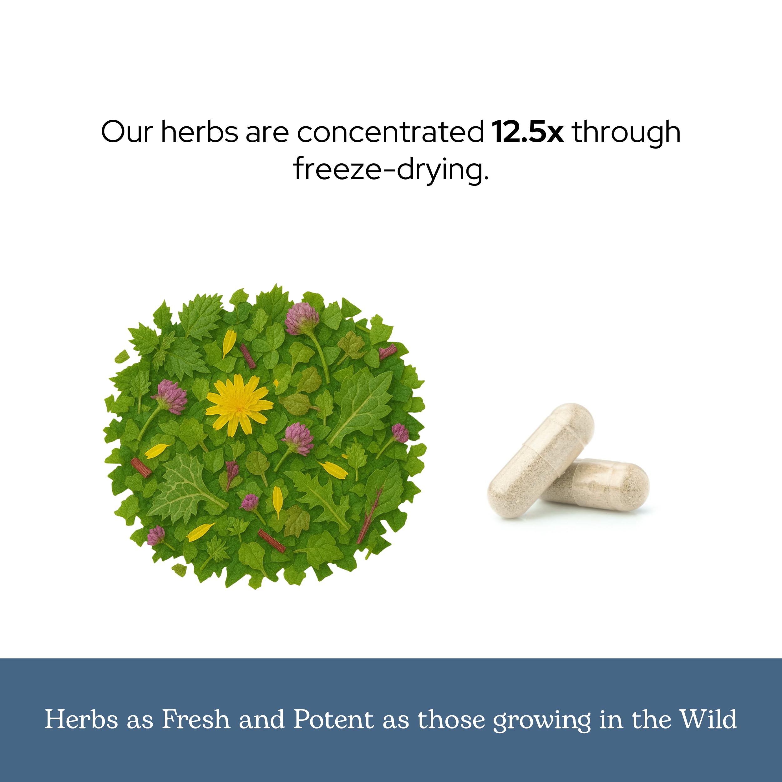 45-count bottle highlighted with natural herb backdrop