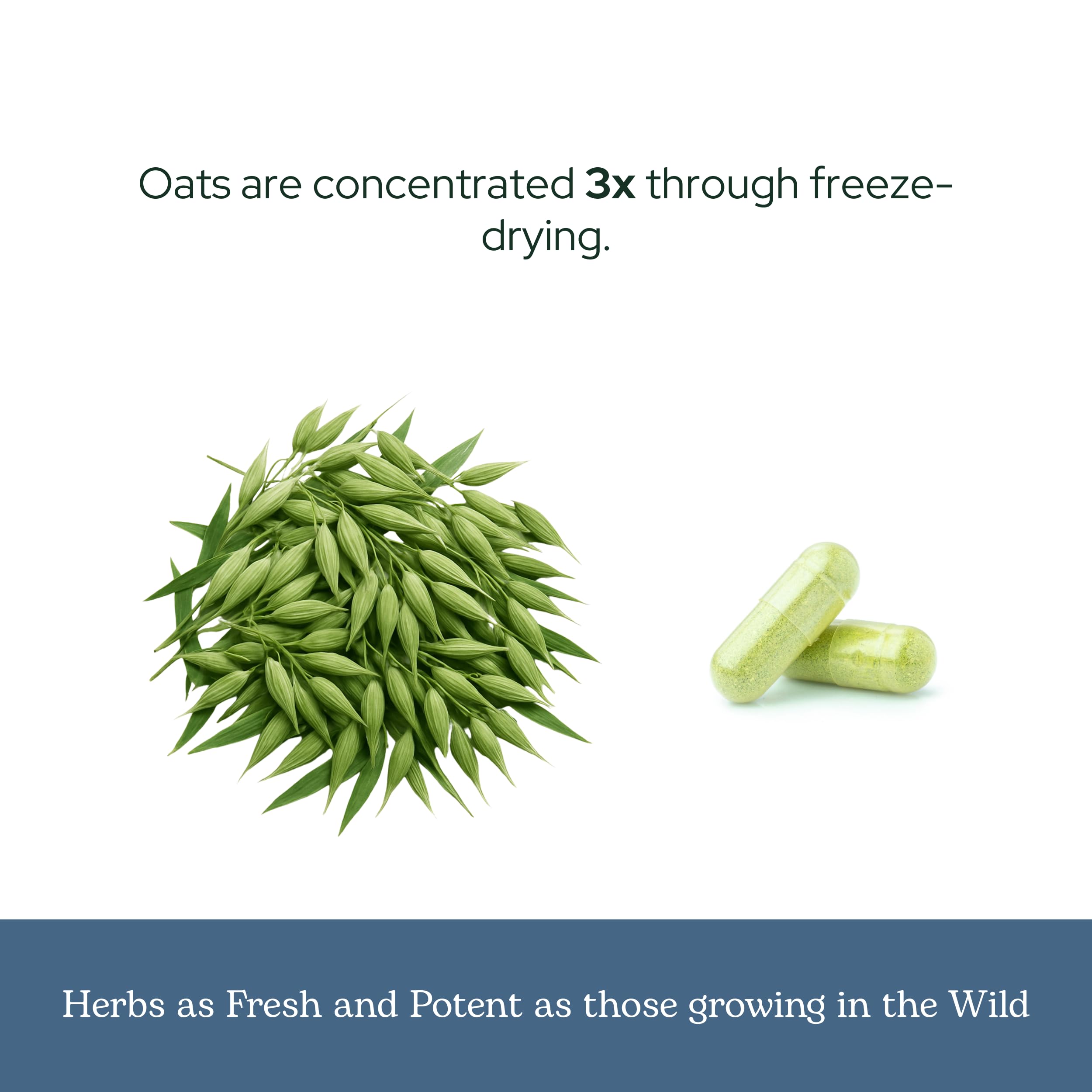 Natural packaging of Eclectic Herb Oats Capsules