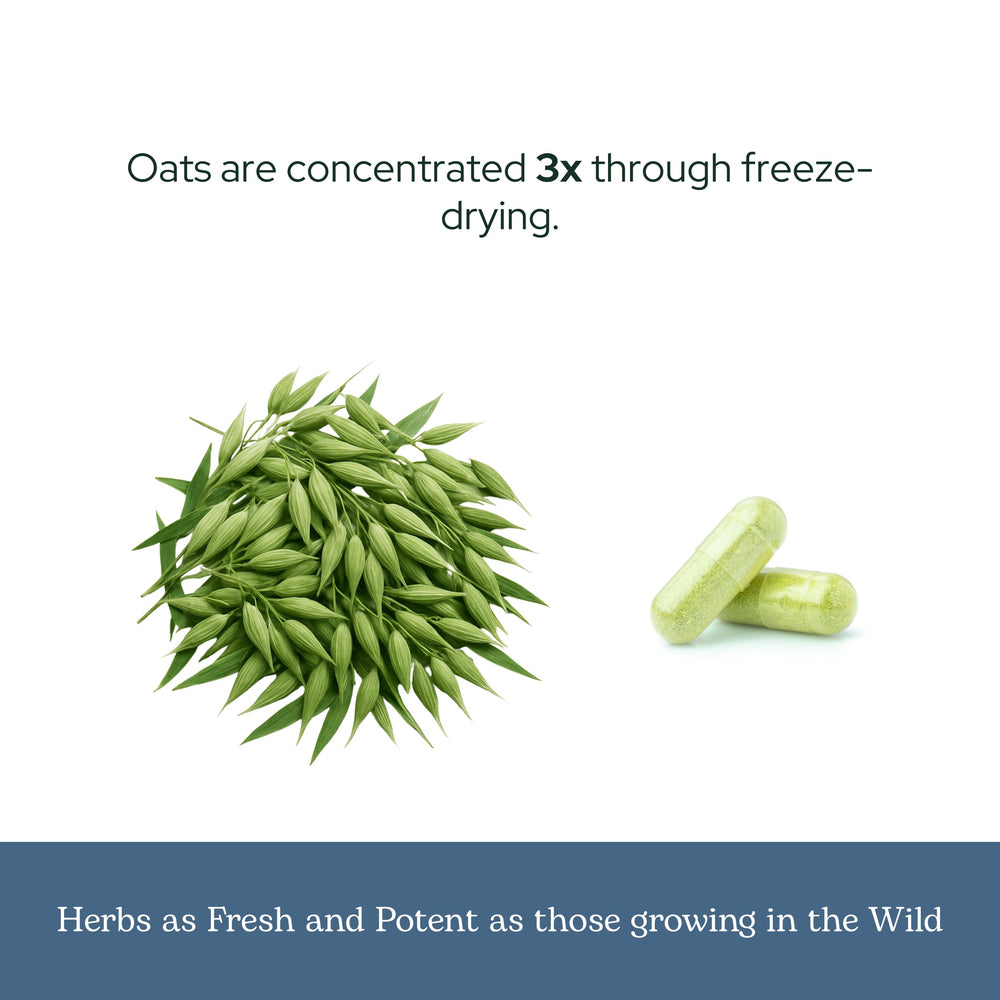 Natural packaging of Eclectic Herb Oats Capsules