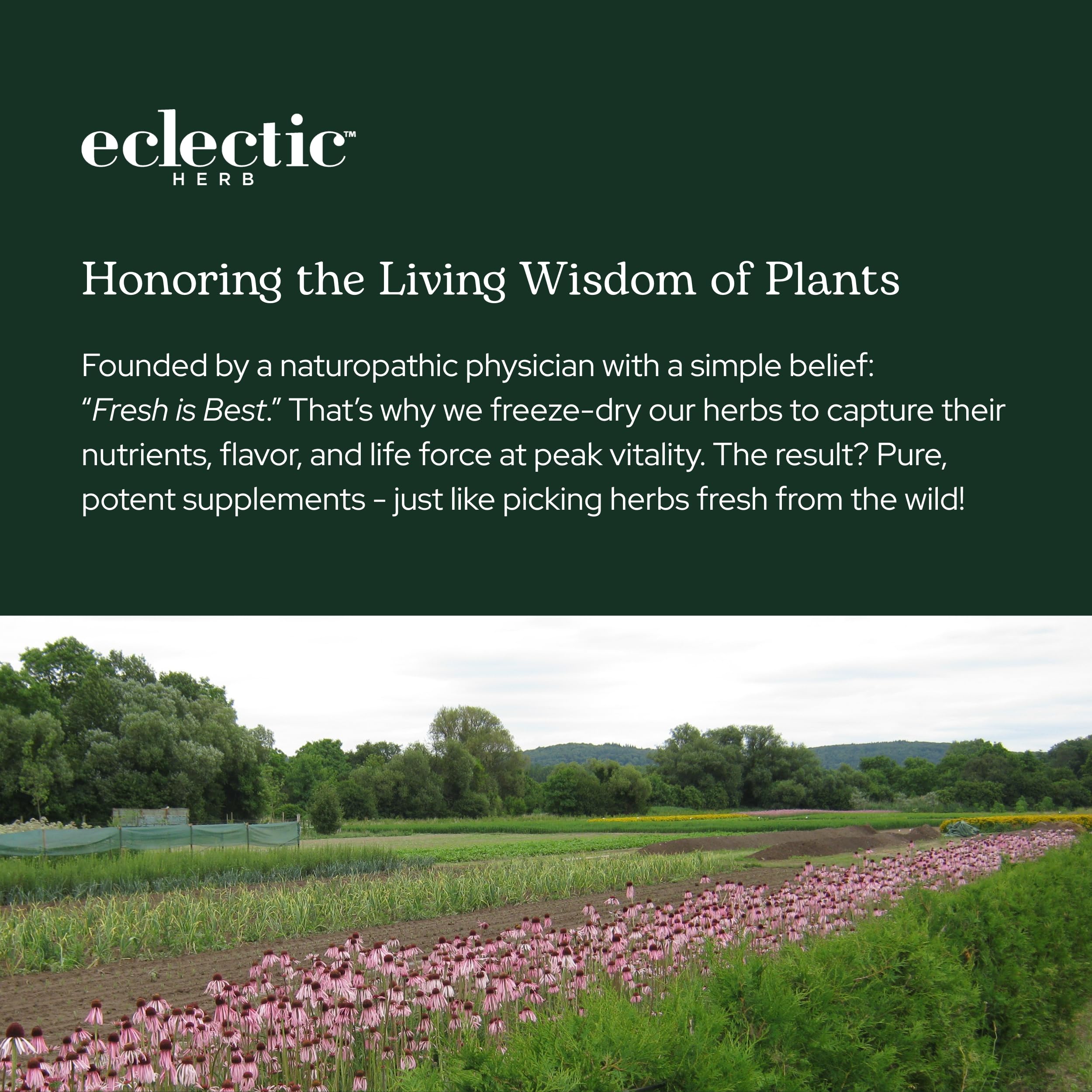 Eclectic Herb sustainability and product line