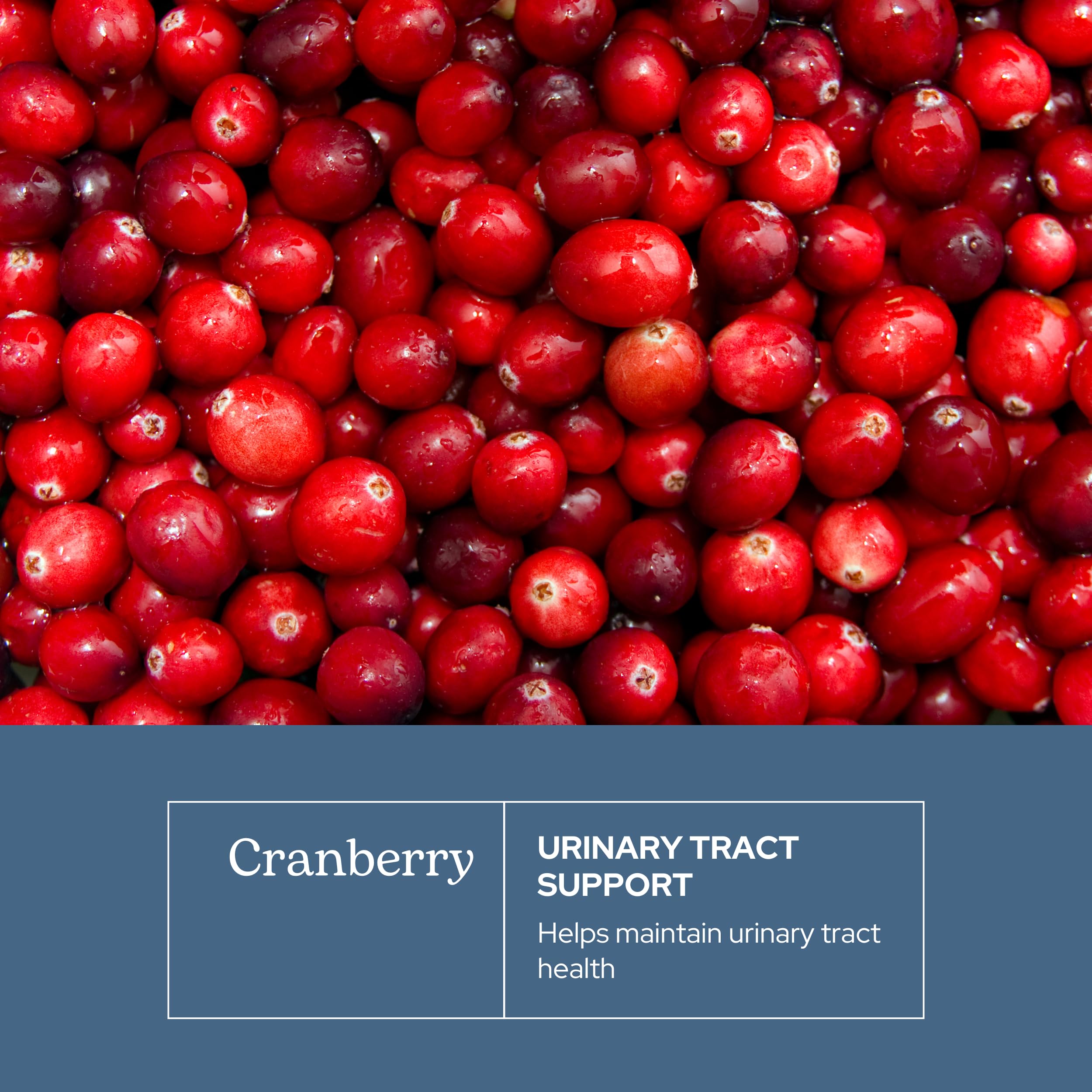 Second close-up view of the cranberry capsules