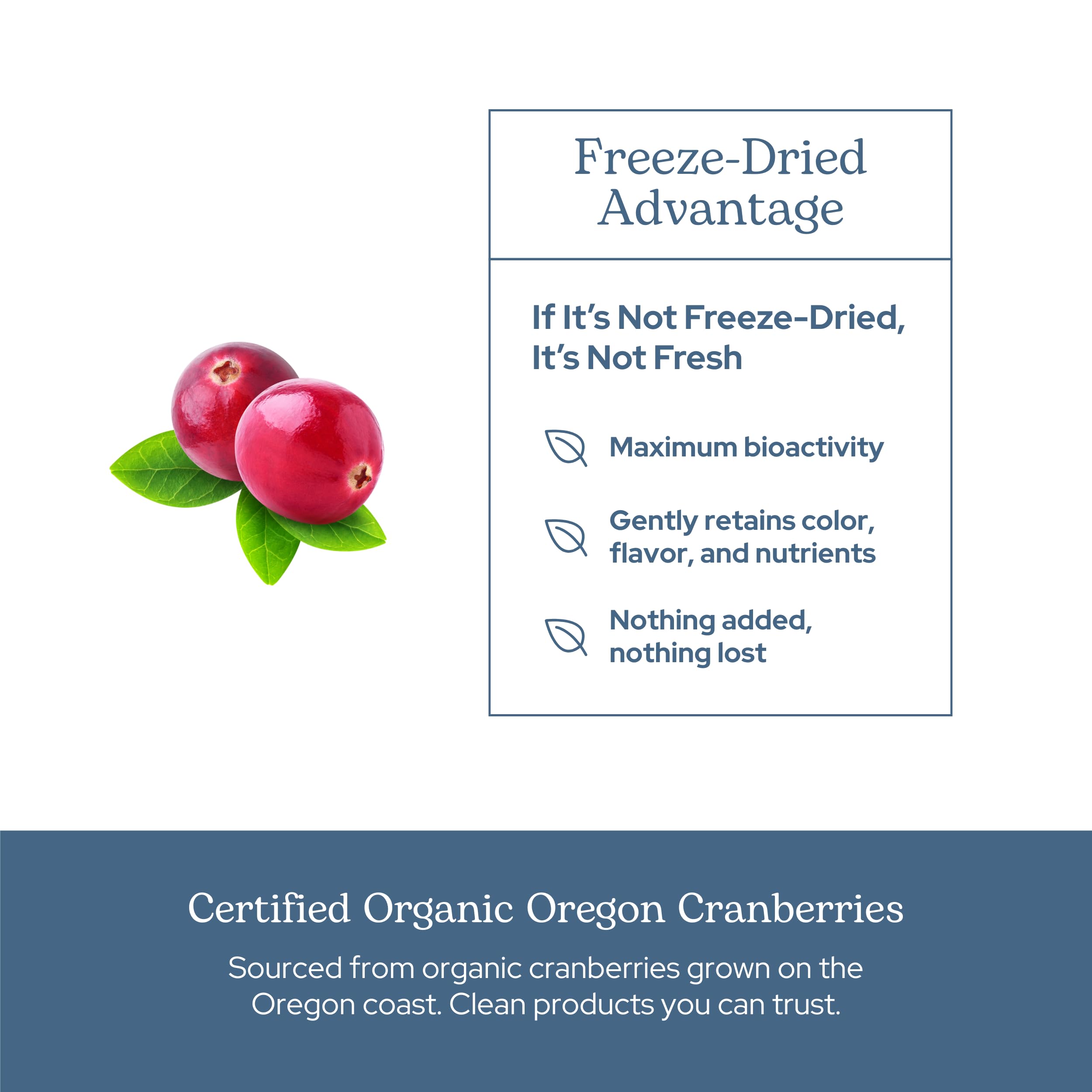 Freeze-dried cranberries used in Eclectic Herb capsules