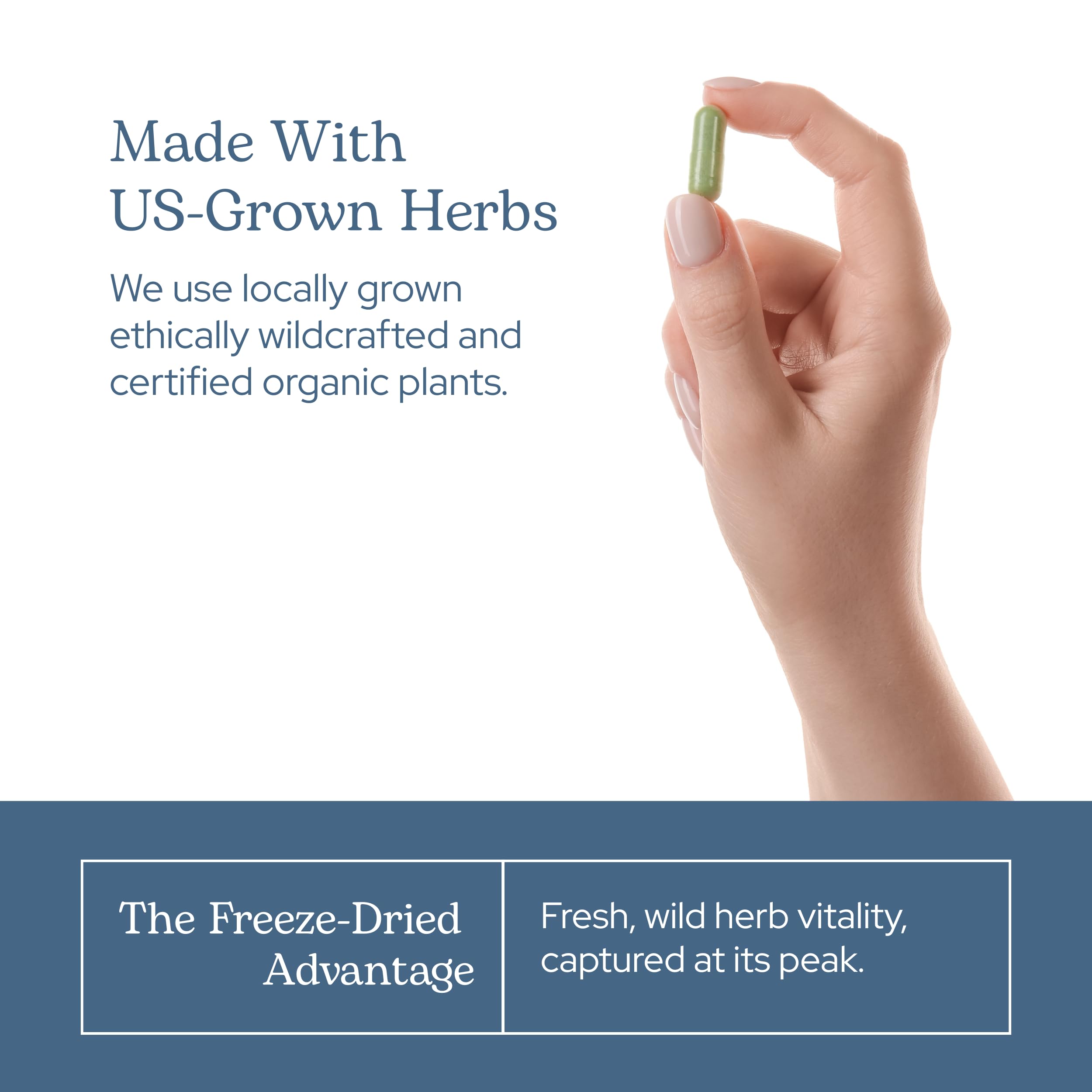 Non-GMO, gluten-free, soy-free, dairy-free vegan label