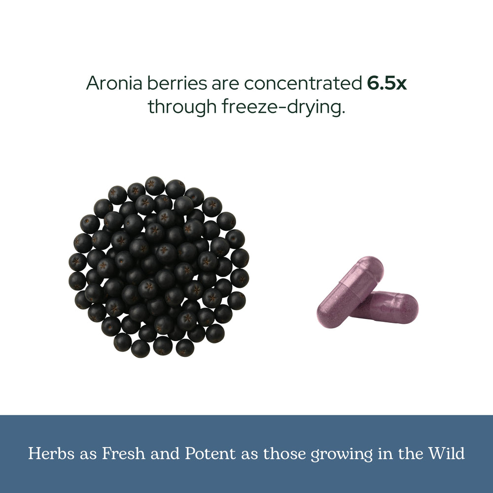 Eclectic Institute aronia berries spoon-dose view for convenient daily use