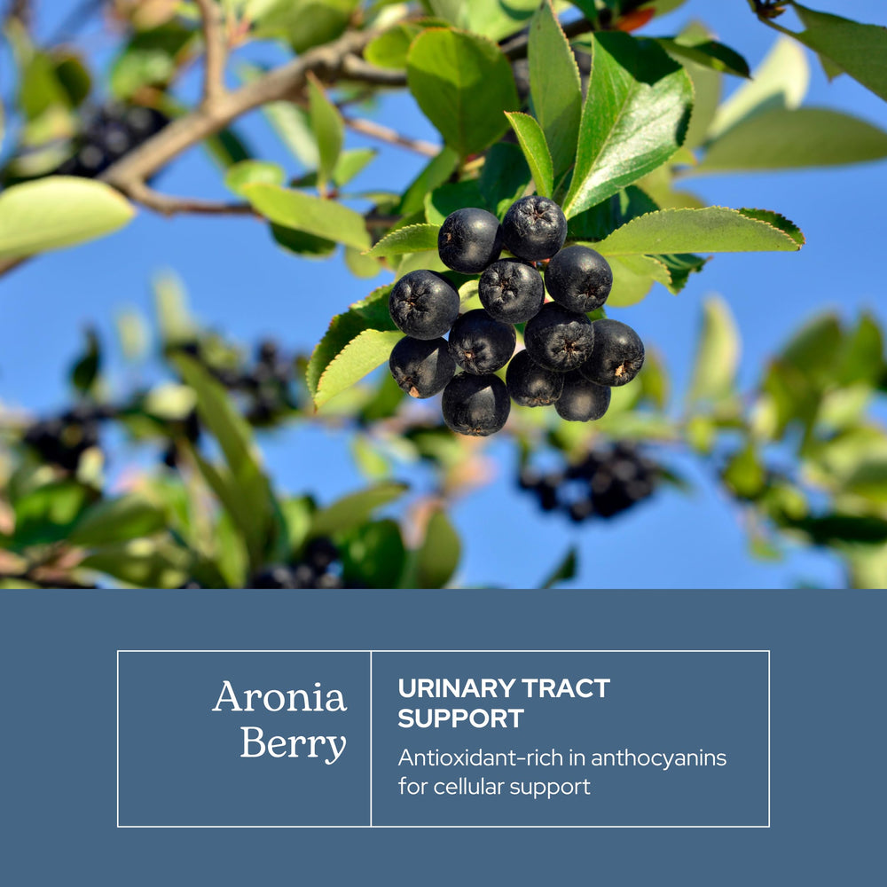 Eclectic Institute aronia capsules open view emphasizing easy daily intake