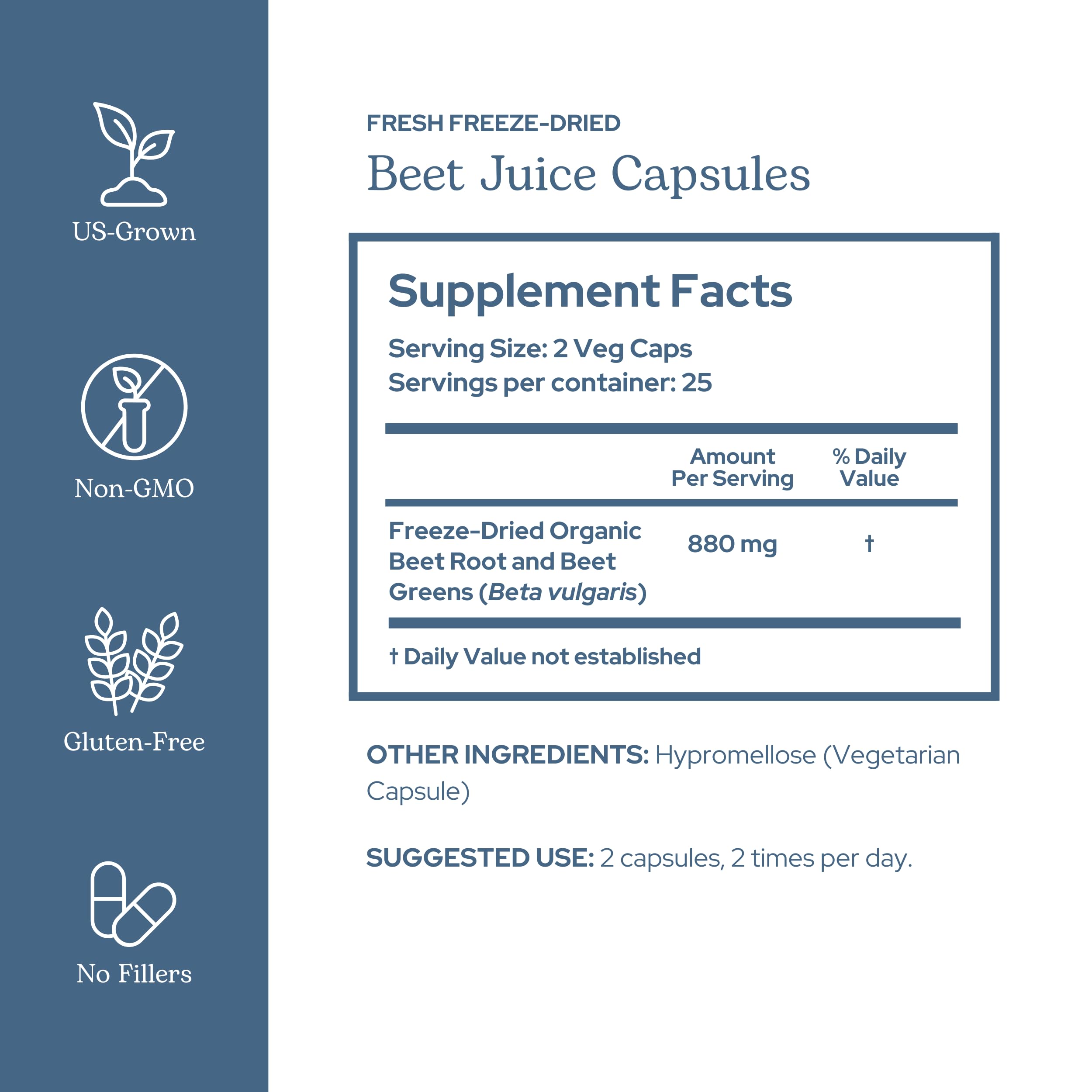 Close-up of beet juice freeze-dried granules