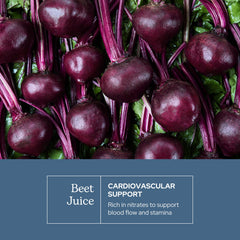Raw Oregon-grown beets ready for juicing