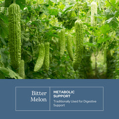 Label of Eclectic Institute Raw Freeze-Dried Bitter Melon 90 count 200 mg
