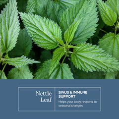 Nettle leaf capsules with Eclectic Institute branding