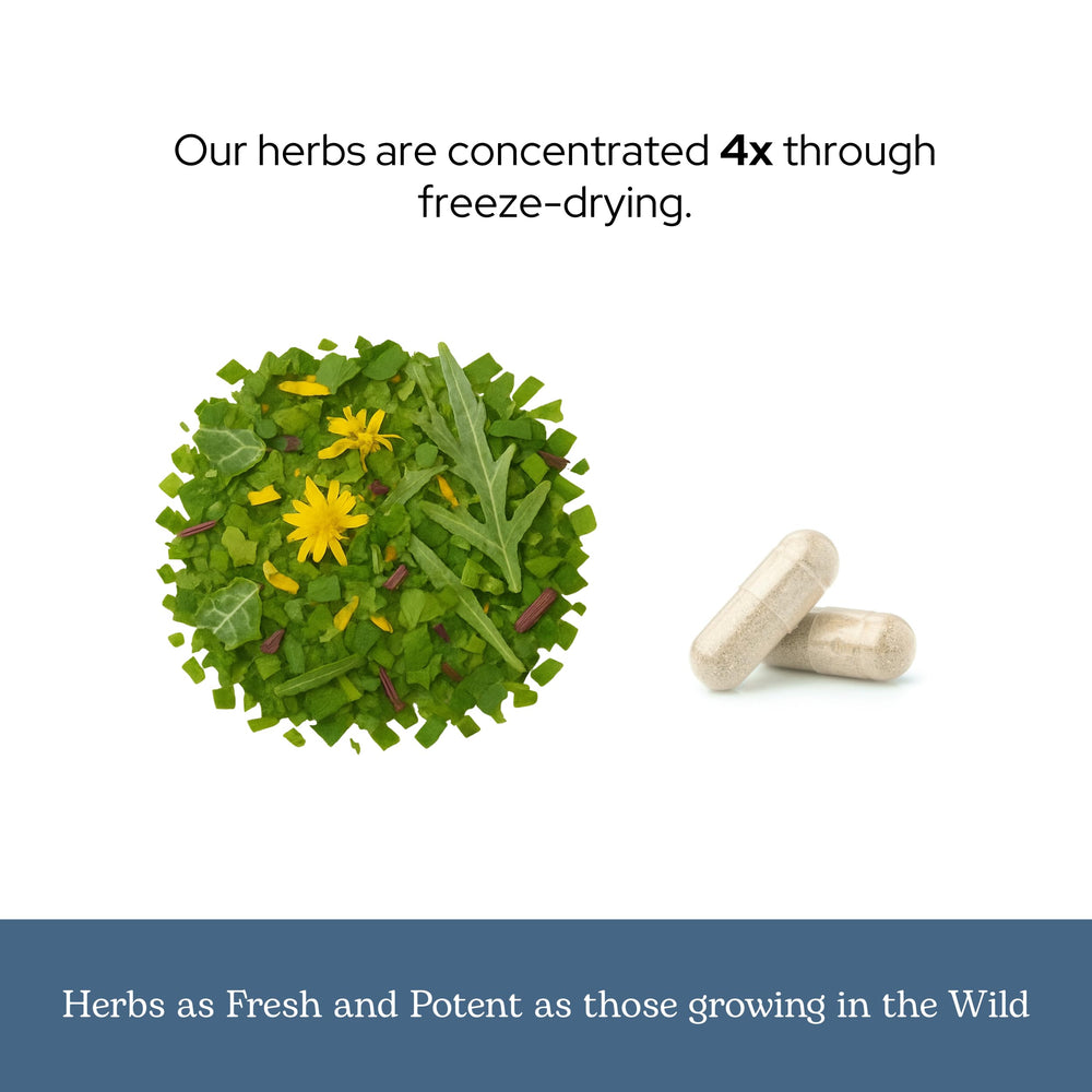 Organically grown botanicals used in the formulation