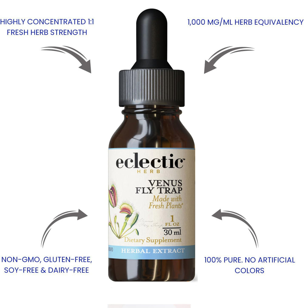 Eclectic Institute Venus Fly Trap O pink packaging mockup displaying brand identity