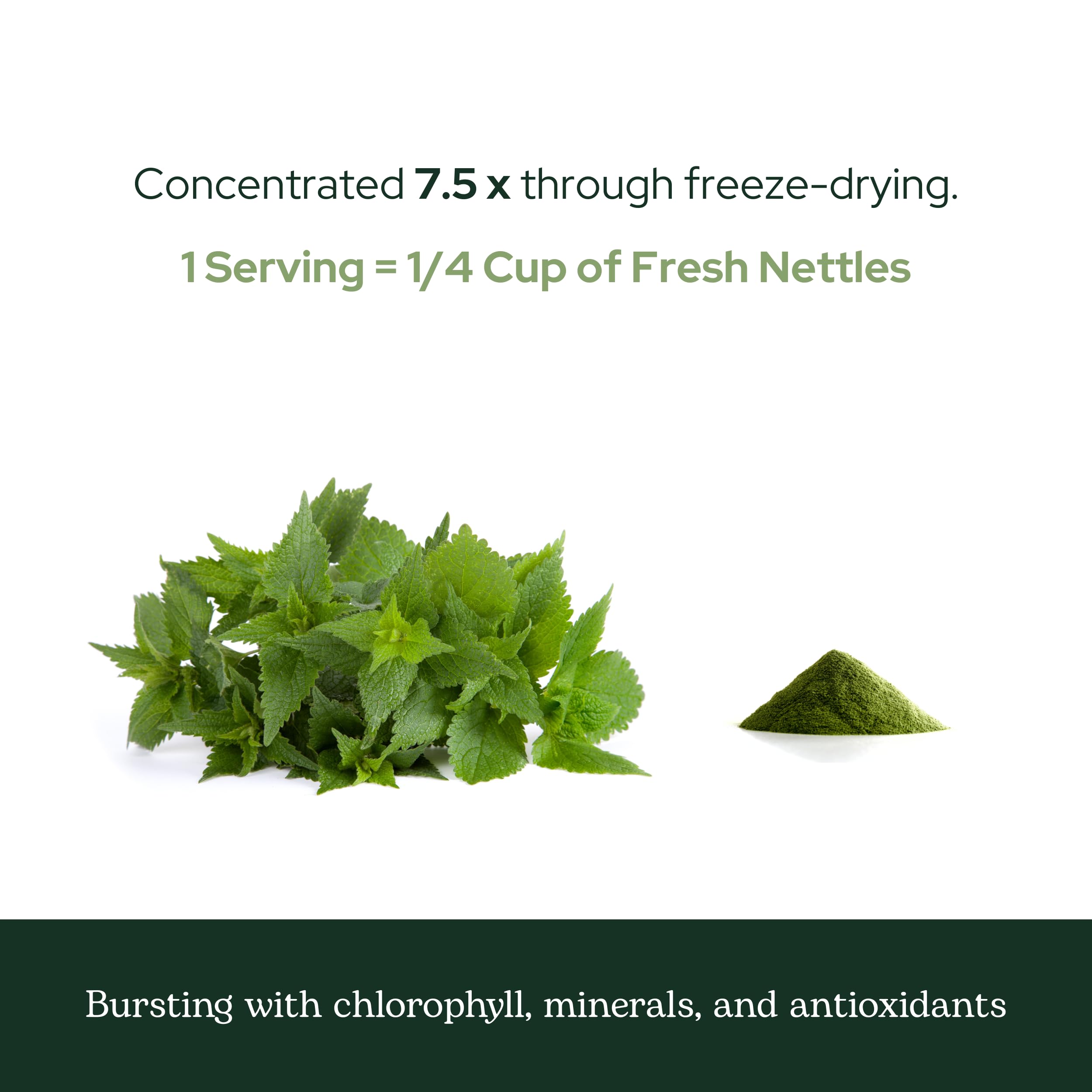 Eco-friendly packaging for Eclectic Herb nettle leaf powder.