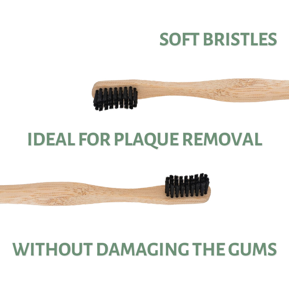 Eco-friendly packaging for bamboo toothbrushes (plastic-free)