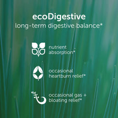 Organic ginger root and DGL licorice used in EcoDigest formula