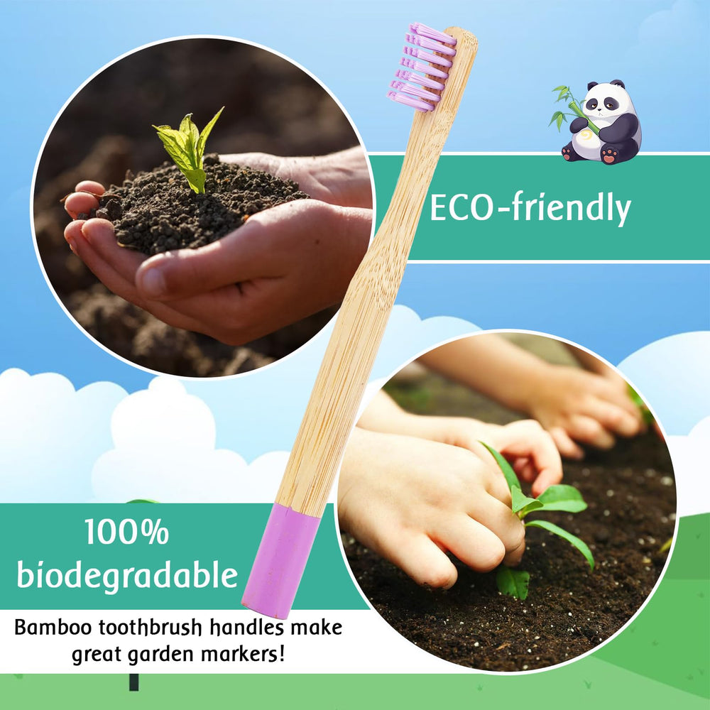 Zero-waste packaging for EcoFrenzy 8-pack bamboo toothbrushes