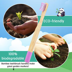 Zero-waste packaging for EcoFrenzy 8-pack bamboo toothbrushes