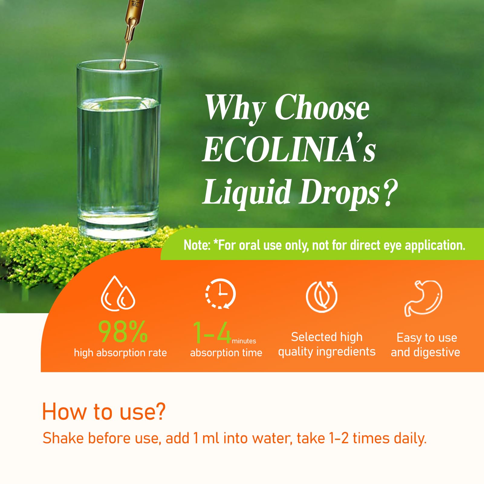 Chrysanthemum and Ginkgo Biloba leaves used in formula