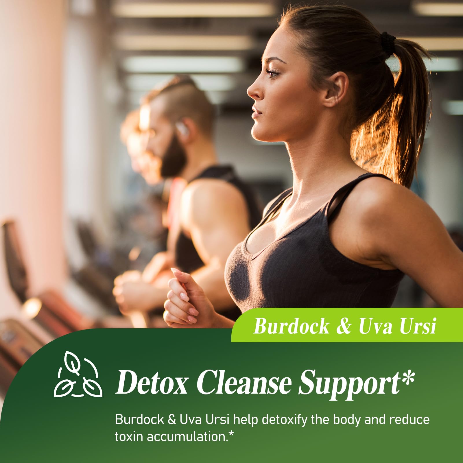 Chanca Piedra, Gravel Root, Horsetail and Dandelion ingredients