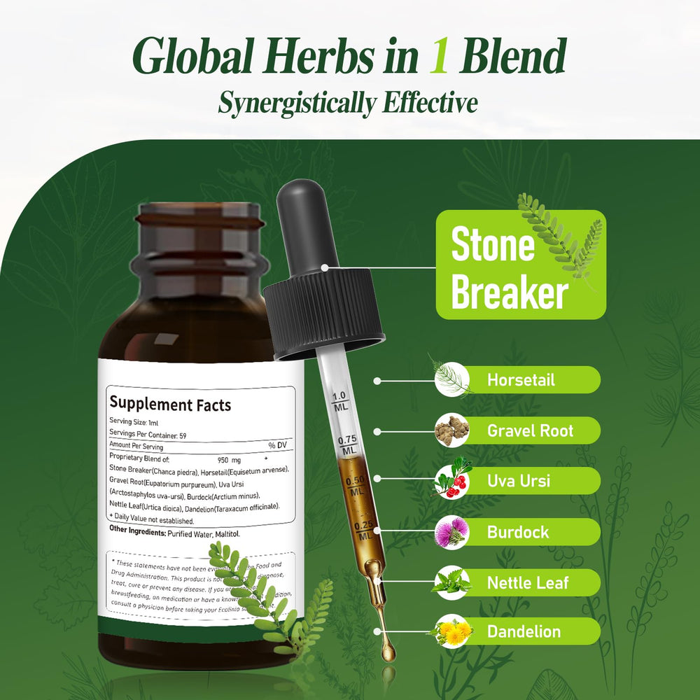 Kidney health concept with herbal supplement