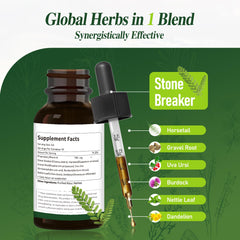 Kidney health concept with herbal supplement