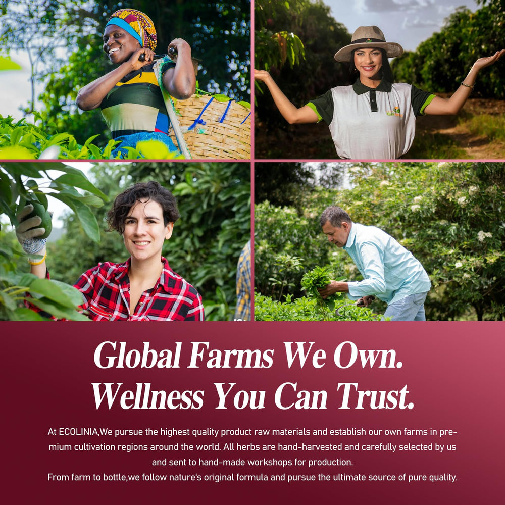 Calendula and Echinacea components in the formula