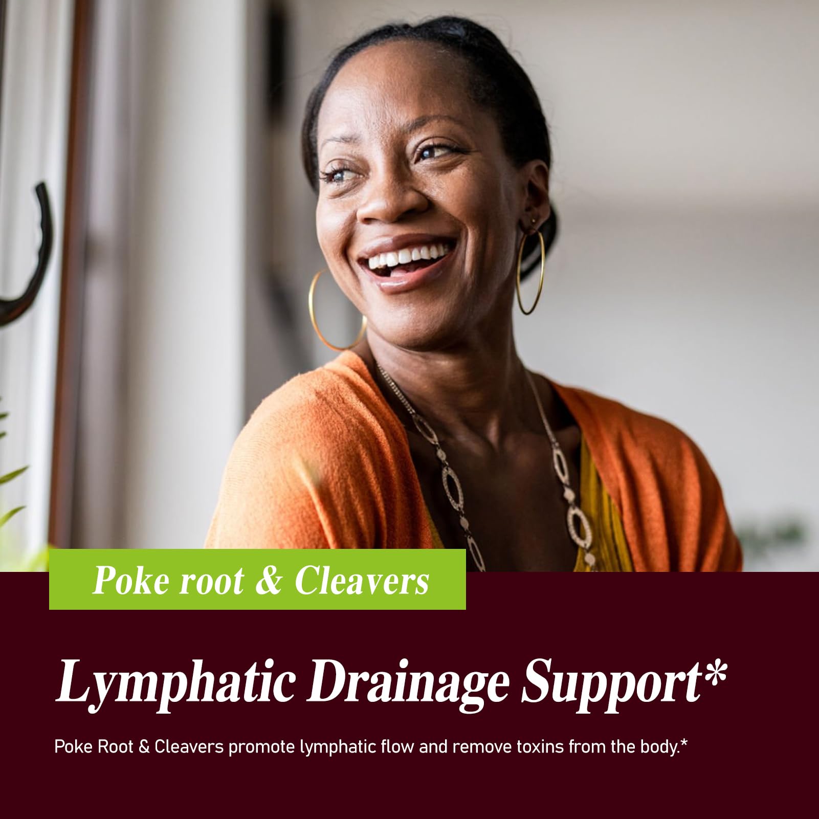 Illustration of ingredients Cleavers, Dandelion, Horsetail with Poke Root